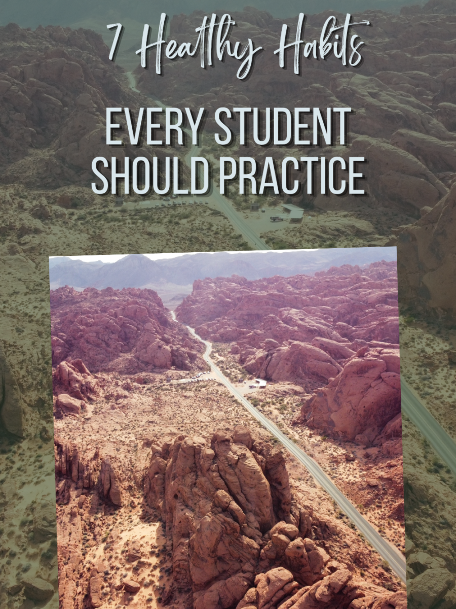 7 Healthy Habits for Students