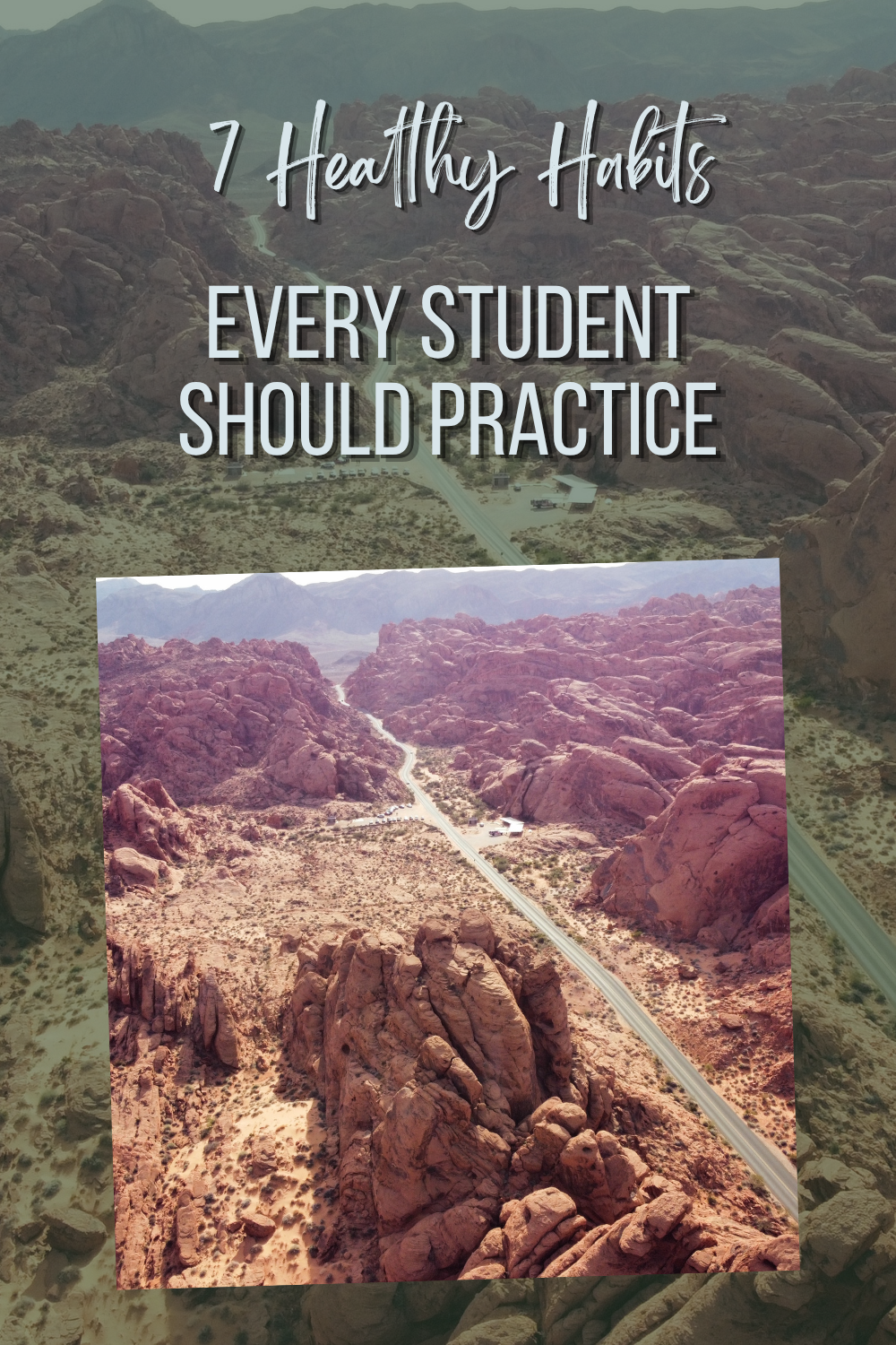7 Healthy Habits for Students
